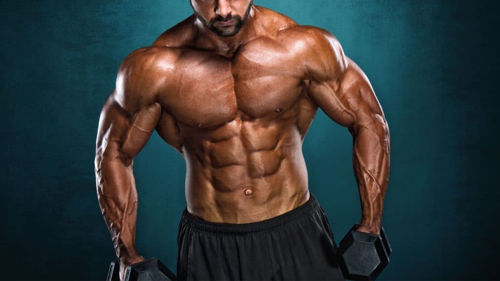 Bulking oder Cutting: Aufbau und Diät sinnvoll planen