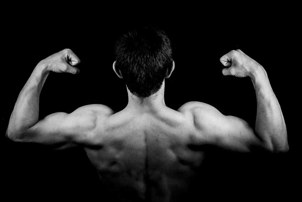 Bestes Whey-Protein 2026: 12 Optionen verglichen