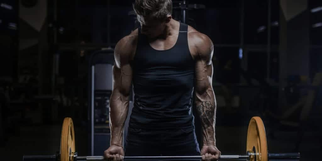 Beste Mass Gainer 2026: 11 Produkte eingeordnet